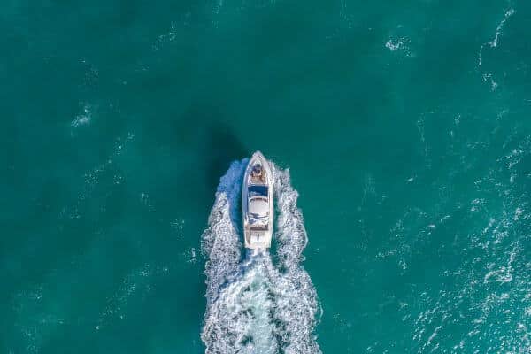 Ocean view of Shark Alley with wildlife and coastline near Gansbaai