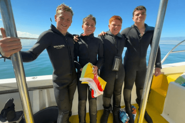 shark divers