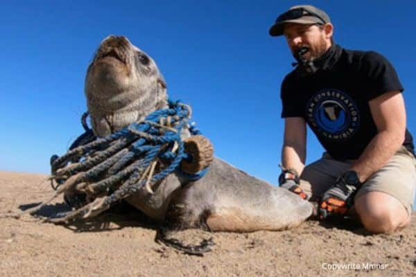 importance of marine conservation importance of marine conservation
